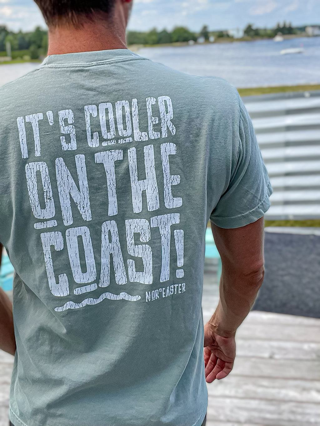 Nor'easter Apparel Cooler on the coast t-shirt back view