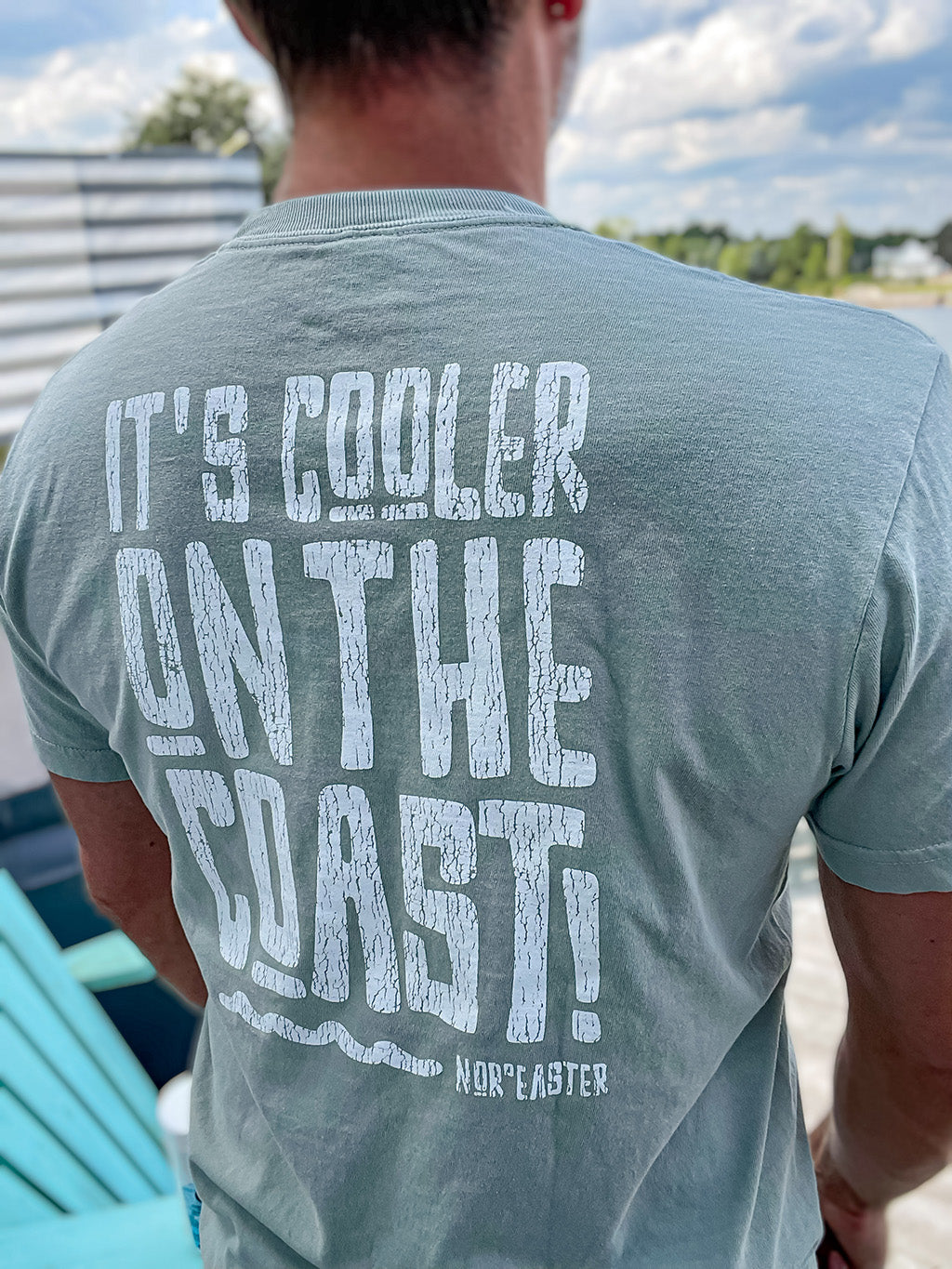 Nor'easter Apparel Cooler on the coast t-shirt back view