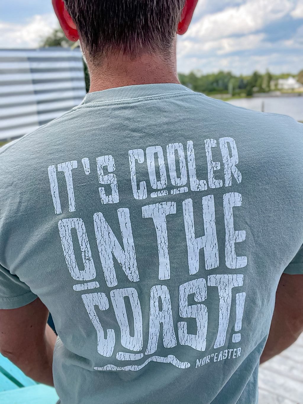 Nor'easter Apparel Cooler on the coast t-shirt back view