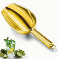 Metal Ice Scoop