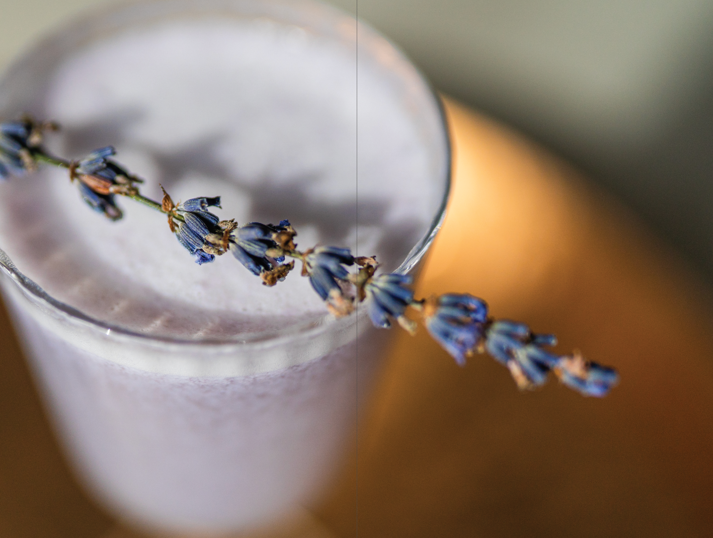 Soberish Cocktail Recipe Book