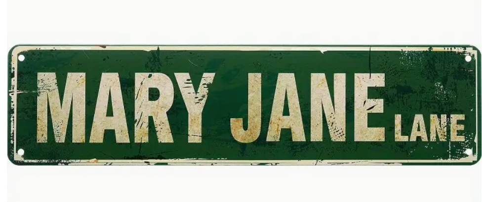 Novelty Metal Street Signs