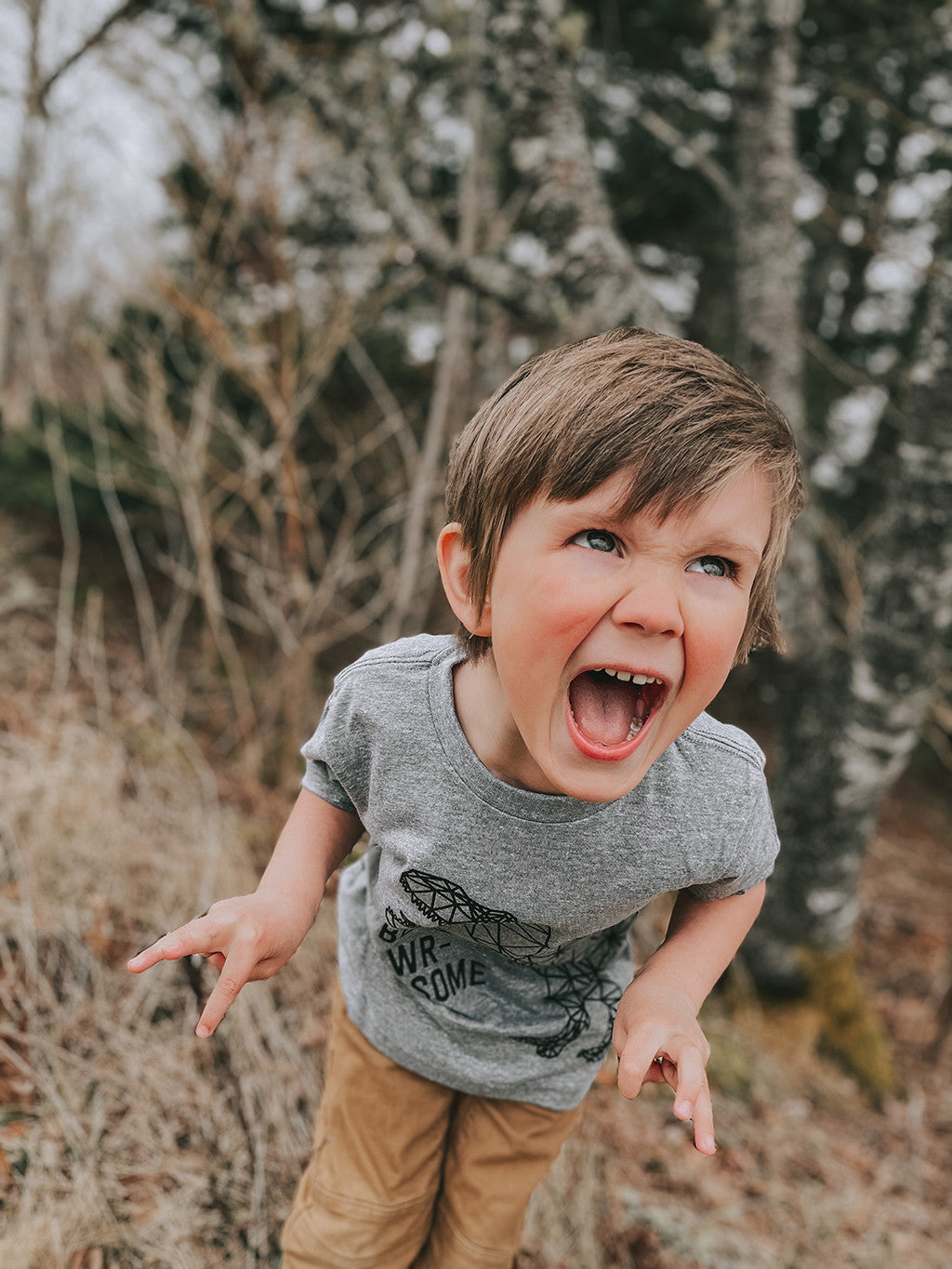 Kids T-REX Tee Shirt